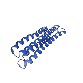 22121_6xbw_m_v1-0
Cryo-EM structure of V-ATPase from bovine brain, state 1