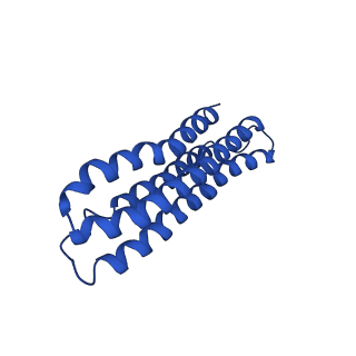 22121_6xbw_n_v1-0
Cryo-EM structure of V-ATPase from bovine brain, state 1