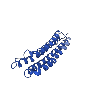 22121_6xbw_q_v1-0
Cryo-EM structure of V-ATPase from bovine brain, state 1