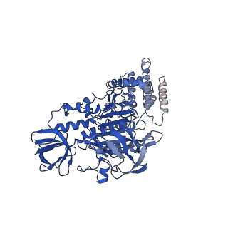 22122_6xby_A_v1-0
Cryo-EM structure of V-ATPase from bovine brain, state 2