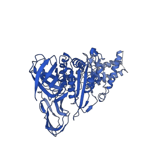 22122_6xby_B_v1-0
Cryo-EM structure of V-ATPase from bovine brain, state 2