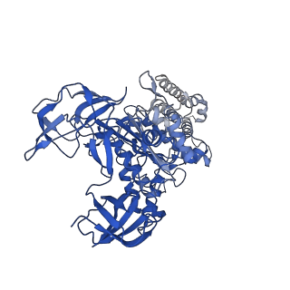 22122_6xby_C_v1-0
Cryo-EM structure of V-ATPase from bovine brain, state 2