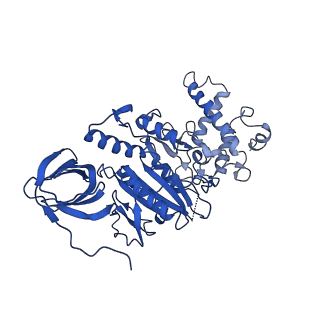 22122_6xby_D_v1-0
Cryo-EM structure of V-ATPase from bovine brain, state 2