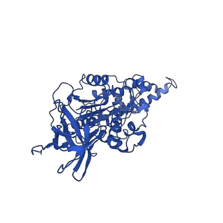 22122_6xby_E_v1-0
Cryo-EM structure of V-ATPase from bovine brain, state 2