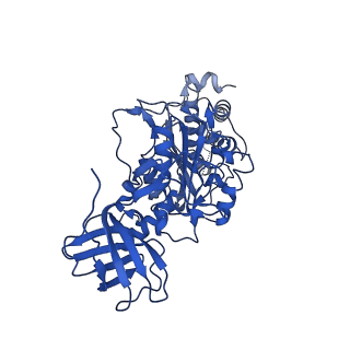 22122_6xby_F_v1-0
Cryo-EM structure of V-ATPase from bovine brain, state 2