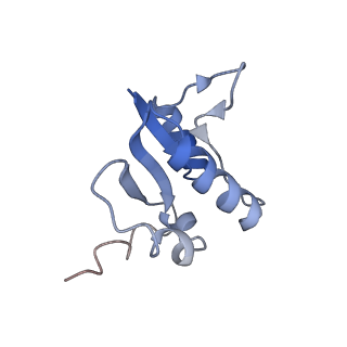 22122_6xby_L_v1-0
Cryo-EM structure of V-ATPase from bovine brain, state 2