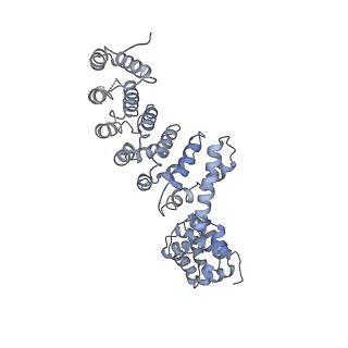 22122_6xby_P_v1-0
Cryo-EM structure of V-ATPase from bovine brain, state 2