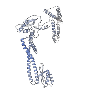 22122_6xby_a_v1-0
Cryo-EM structure of V-ATPase from bovine brain, state 2