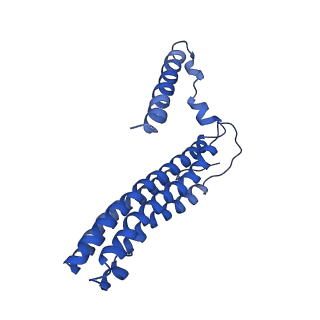 22122_6xby_b_v1-0
Cryo-EM structure of V-ATPase from bovine brain, state 2