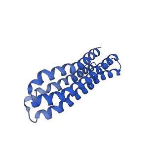 22122_6xby_k_v1-0
Cryo-EM structure of V-ATPase from bovine brain, state 2