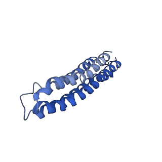 22122_6xby_l_v1-0
Cryo-EM structure of V-ATPase from bovine brain, state 2