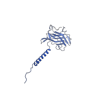 22122_6xby_s_v1-0
Cryo-EM structure of V-ATPase from bovine brain, state 2