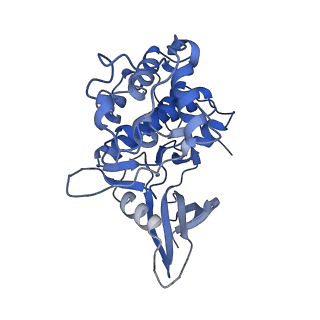 22123_6xbz_J_v1-1
Structure of the human CDK-activating kinase