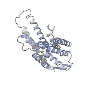 33103_7xbd_A_v1-1
Cryo-EM structure of human galanin receptor 2
