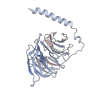 33103_7xbd_C_v1-1
Cryo-EM structure of human galanin receptor 2