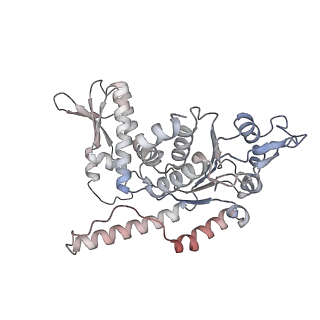 33104_7xbk_A_v1-1
Structure and mechanism of a mitochondrial AAA+ disaggregase CLPB