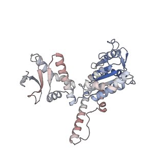 33104_7xbk_B_v1-1
Structure and mechanism of a mitochondrial AAA+ disaggregase CLPB