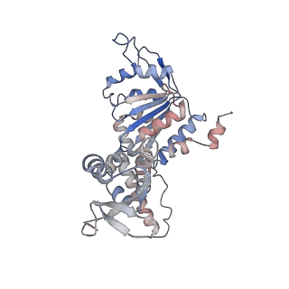 33104_7xbk_C_v1-1
Structure and mechanism of a mitochondrial AAA+ disaggregase CLPB