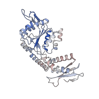 33104_7xbk_D_v1-1
Structure and mechanism of a mitochondrial AAA+ disaggregase CLPB