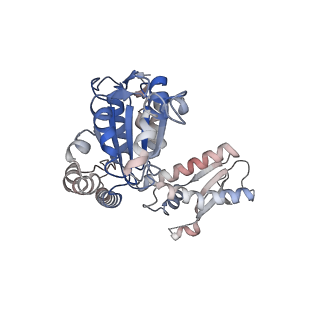 33104_7xbk_E_v1-1
Structure and mechanism of a mitochondrial AAA+ disaggregase CLPB