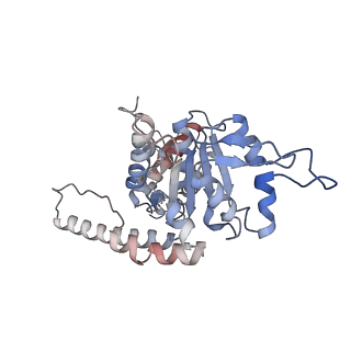 33104_7xbk_F_v1-1
Structure and mechanism of a mitochondrial AAA+ disaggregase CLPB