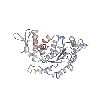 33104_7xbk_G_v1-1
Structure and mechanism of a mitochondrial AAA+ disaggregase CLPB
