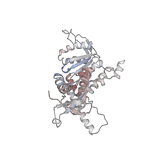 33104_7xbk_I_v1-1
Structure and mechanism of a mitochondrial AAA+ disaggregase CLPB