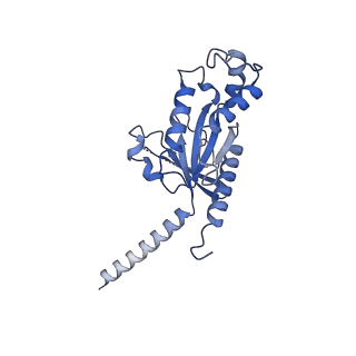 33107_7xbw_C_v1-0
Cryo-EM structure of the human chemokine receptor CX3CR1 in complex with Gi1