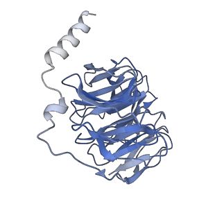33107_7xbw_D_v1-0
Cryo-EM structure of the human chemokine receptor CX3CR1 in complex with Gi1