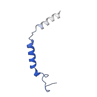 33107_7xbw_E_v1-0
Cryo-EM structure of the human chemokine receptor CX3CR1 in complex with Gi1