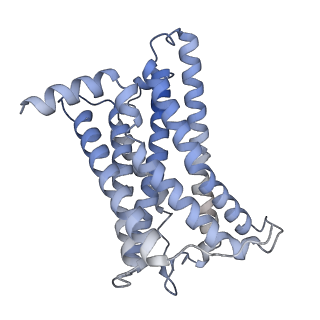 33107_7xbw_R_v1-0
Cryo-EM structure of the human chemokine receptor CX3CR1 in complex with Gi1