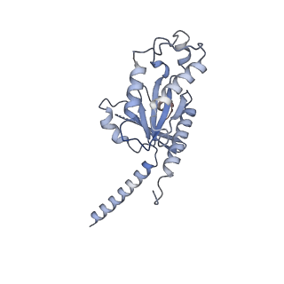 33108_7xbx_C_v1-0
Cryo-EM structure of the human chemokine receptor CX3CR1 in complex with CX3CL1 and Gi1