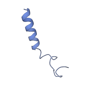 33108_7xbx_E_v1-0
Cryo-EM structure of the human chemokine receptor CX3CR1 in complex with CX3CL1 and Gi1
