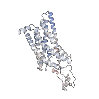 33108_7xbx_R_v1-0
Cryo-EM structure of the human chemokine receptor CX3CR1 in complex with CX3CL1 and Gi1