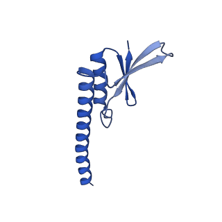 38214_8xb8_1_v1-1
The structure of ASFV A137R