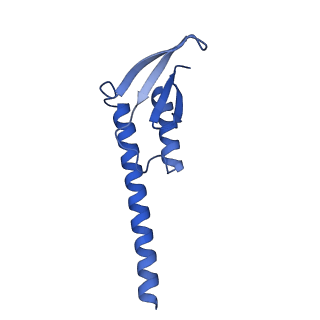 38214_8xb8_4_v1-1
The structure of ASFV A137R