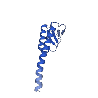 38214_8xb8_G_v1-1
The structure of ASFV A137R