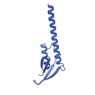 38214_8xb8_I_v1-1
The structure of ASFV A137R