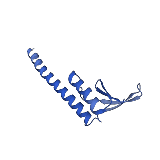 38214_8xb8_X_v1-1
The structure of ASFV A137R