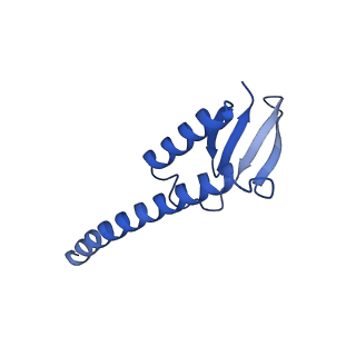 38214_8xb8_c_v1-1
The structure of ASFV A137R