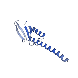 38214_8xb8_e_v1-1
The structure of ASFV A137R