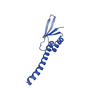 38214_8xb8_j_v1-1
The structure of ASFV A137R