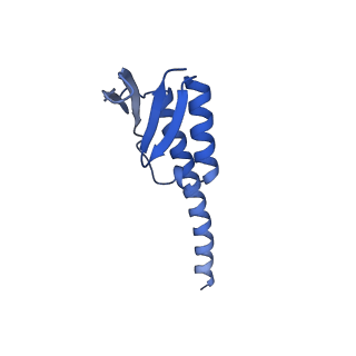 38214_8xb8_k_v1-1
The structure of ASFV A137R