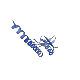 38214_8xb8_n_v1-1
The structure of ASFV A137R