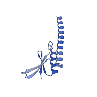 38214_8xb8_u_v1-1
The structure of ASFV A137R