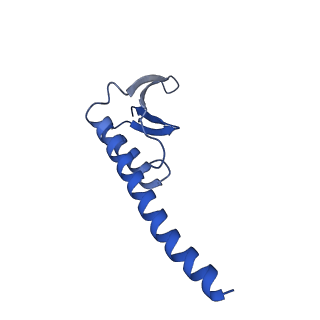 38214_8xb8_w_v1-1
The structure of ASFV A137R