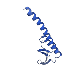 38214_8xb8_y_v1-1
The structure of ASFV A137R