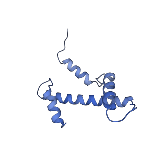 38228_8xbt_A_v1-0
The cryo-EM structure of the octameric RAD51 ring bound to the nucleosome with the linker DNA binding