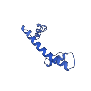 38228_8xbt_B_v1-0
The cryo-EM structure of the octameric RAD51 ring bound to the nucleosome with the linker DNA binding