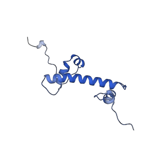 38228_8xbt_C_v1-0
The cryo-EM structure of the octameric RAD51 ring bound to the nucleosome with the linker DNA binding